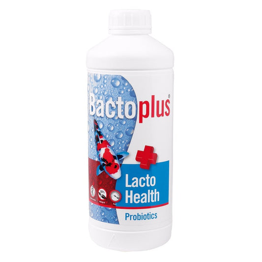 Bactoplus Lacto Health Probiotics