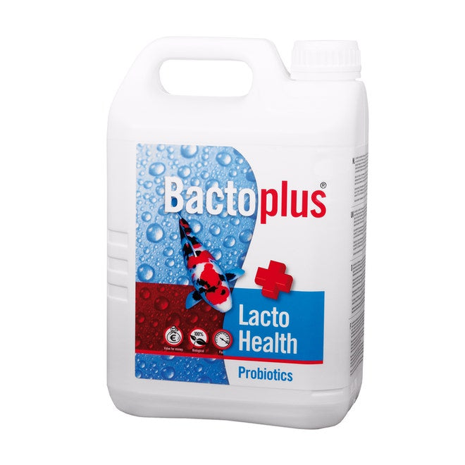 Bactoplus Lacto Health Probiotics