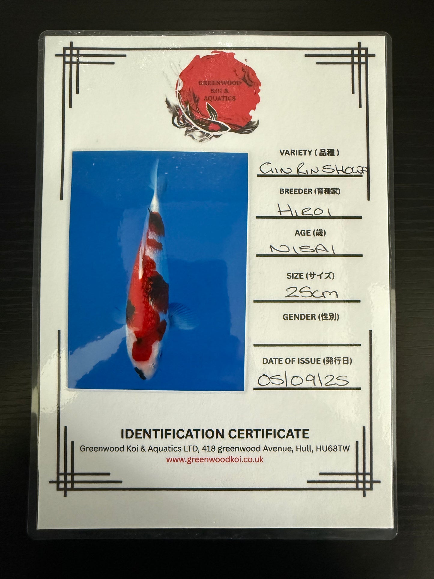 Hiroi Gin Rin Showa Nisai