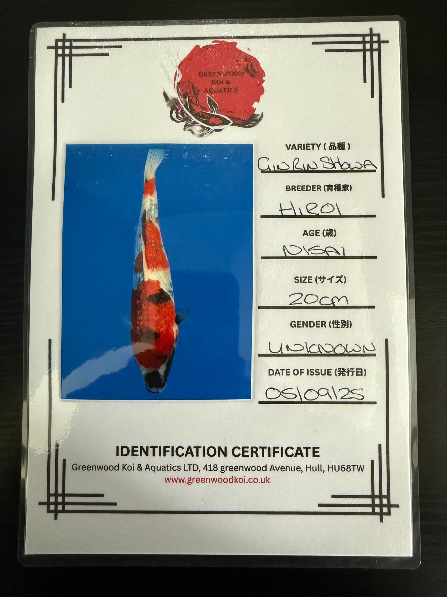 Hiroi Gin Rin Showa Nisai