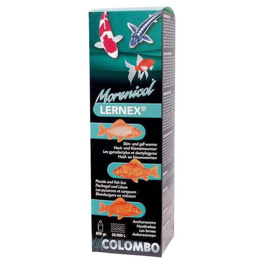 Colombo Lernex