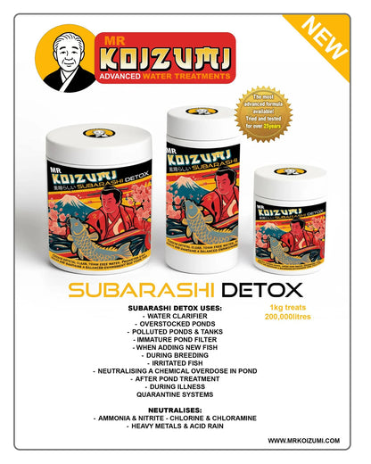 Mr Koizumi Subarashi Detox 1kg
